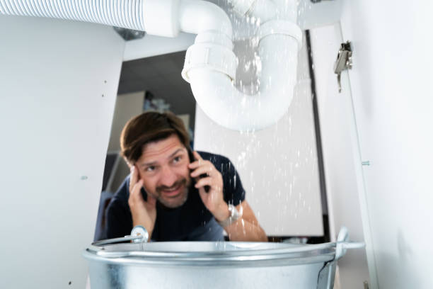 Best Plumbing Services Near Me  in Ladonia, AL