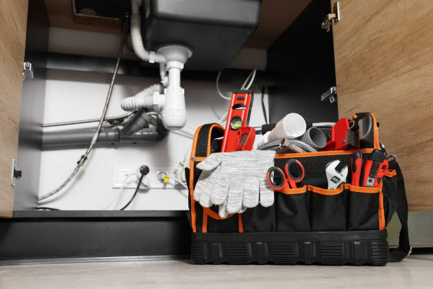 Best Plumbing Inspection Services  in Ladonia, AL