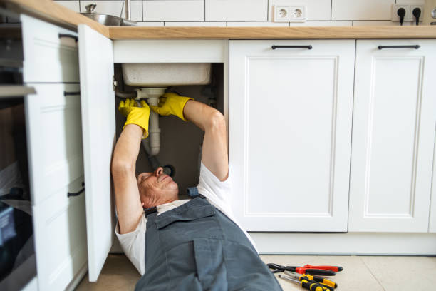 Best Gas Line Repair  in Ladonia, AL