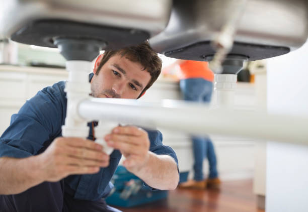 Best Local Plumber Services  in Ladonia, AL