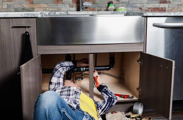 Best Clogged Drain Plumber  in Ladonia, AL