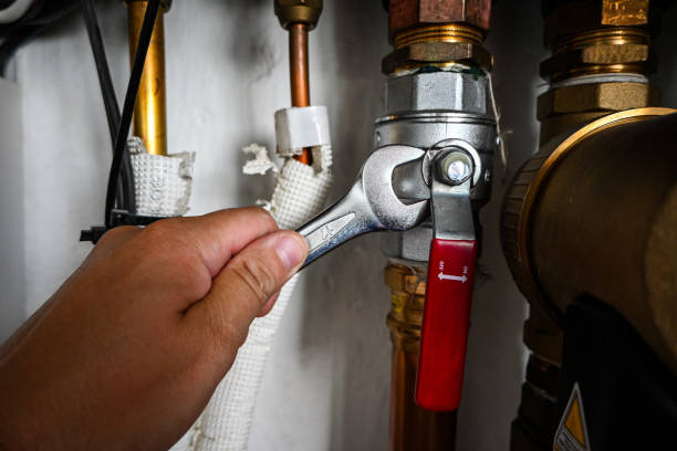 Best Drain Cleaning Services  in Ladonia, AL